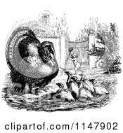 Poster, Art Print Of Retro Vintage Black And White Turkey And Chicks