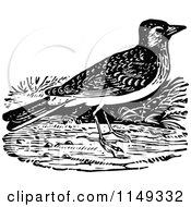 Clipart Of A Retro Vintage Black And White Lark Bird Royalty Free Vector Illustration