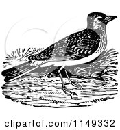 Poster, Art Print Of Retro Vintage Black And White Lark Bird