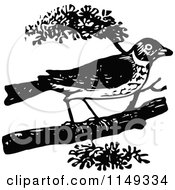 Clipart Of A Retro Vintage Black And White Robin Royalty Free Vector Illustration