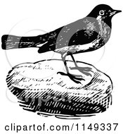 Clipart Of A Retro Vintage Black And White Bird On A Rock Royalty Free Vector Illustration