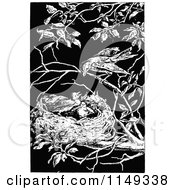 Poster, Art Print Of Retro Vintage Black And White Bird Over Its Chicks In A Nest