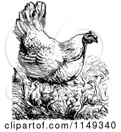 Poster, Art Print Of Retro Vintage Black And White Chicken With Chicks