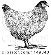 Clipart Of A Retro Vintage Black And White Hen Chicken Royalty Free Vector Illustration