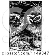 Poster, Art Print Of Retro Vintage Black And White Sea Creatures