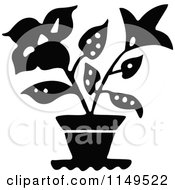 Black And White Potted Plant