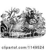 Poster, Art Print Of Retro Vintage Black And White Wild Flower Plants