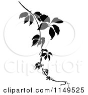 Clipart Of A Retro Vintage Black And White Vine Royalty Free Vector Illustration
