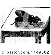 Clipart Of A Retro Vintage Black And White Fly On A Table Royalty Free Vector Illustration
