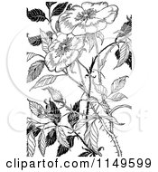 Clipart Of Retro Vintage Black And White Flowers 1 Royalty Free Vector Illustration