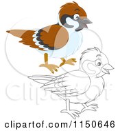 Cartoon Of A Colored And Outlined Bird Royalty Free Vector Clipart