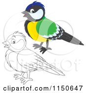 Cartoon Of A Colored And Outlined Bird 2 Royalty Free Vector Clipart