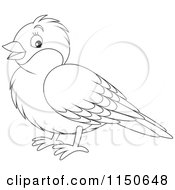 Cartoon Of An Outlined Robin Bird Royalty Free Vector Clipart