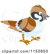 Cartoon Of A Brown Bird Royalty Free Vector Clipart