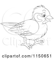 Cartoon Of An Outlined Bird Royalty Free Vector Clipart