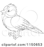 Cartoon Of An Outlined Bird 2 Royalty Free Vector Clipart