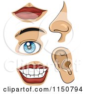 Cartoon Of Facial Body Parts Royalty Free Vector Clipart