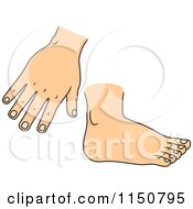 Poster, Art Print Of Hand And Foot