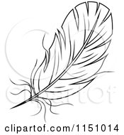 Poster, Art Print Of Black And White Feather 6