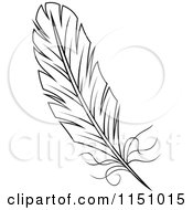 Poster, Art Print Of Black And White Feather 5