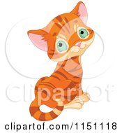 Cute Orange Tabby Kitten With Gren Eyes Looking Back