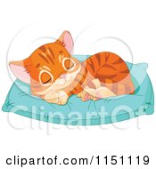 Cute Orange Tabby Kitten Sleeping On A Pillow