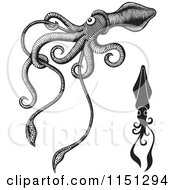 Cartoon Of Black And White Giant Squids Royalty Free Vector Clipart