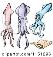 Pink Purple And Blue Squids With A Shell