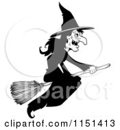 Black And White Wicked Witch Flying On A Broom Stick