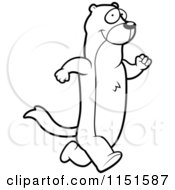 Poster, Art Print Of Black And White Weasel Running Upright