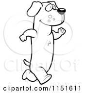Cartoon Clipart Of A Black And White Daschund Running Upright Vector Outlined Coloring Page