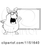 Poster, Art Print Of Black And White Chubby Rabbit Pointing To A Chalk Board