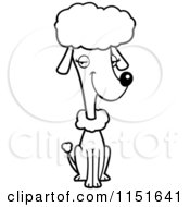 Poster, Art Print Of Black And White Sitting Poodle