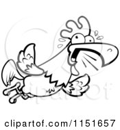 Cartoon Clipart Of A Black And White Rooster Flying And Squawking Vector Outlined Coloring Page