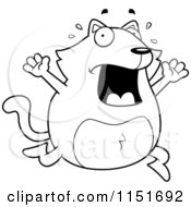 Poster, Art Print Of Black And White Panicking Cat Freaking Out