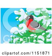 Poster, Art Print Of Robin On A Snow Flocked Tree