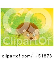 Cartoon Of A Cute Hedgehog In Shrubs Royalty Free Illustration