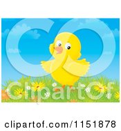 Cartoon Of A Cute Yellow Chick And Spring Flowers Royalty Free Illustration