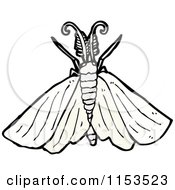 Cartoon Of A Moth Royalty Free Vector Illustration by lineartestpilot