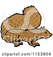 Cartoon Of A Squirrel Royalty Free Vector Illustration by lineartestpilot
