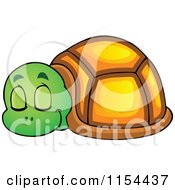 Poster, Art Print Of Cute Sleeping Turtle