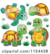 Poster, Art Print Of Cute Turtles