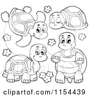 Poster, Art Print Of Outlined Turtles