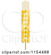 Clipart Of A Whole Grain Ear 4 Royalty Free Vector Illustration