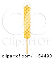 Clipart Of A Whole Grain Ear 7 Royalty Free Vector Illustration