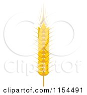 Clipart Of A Whole Grain Ear 6 Royalty Free Vector Illustration