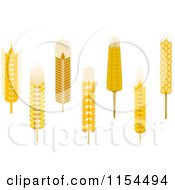 Clipart Of Whole Grain Ears Royalty Free Vector Illustration