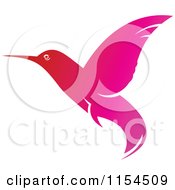 Clipart Of A Pink Hummingbird Royalty Free Vector Illustration