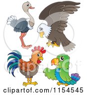 Poster, Art Print Of Ostrich Bald Eagle Chicken And Parrot
