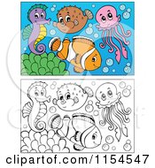 Poster, Art Print Of Outlined And Colored Marine Fish